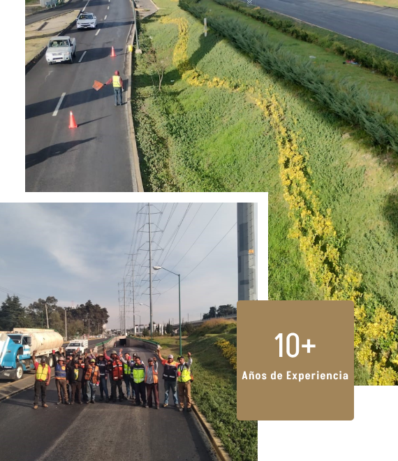 10 años de experiencia